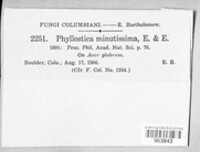 Asteromella pruni-mahaleb image